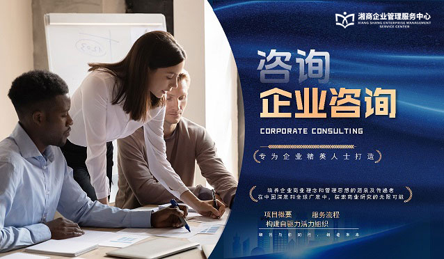 企业咨询项目
