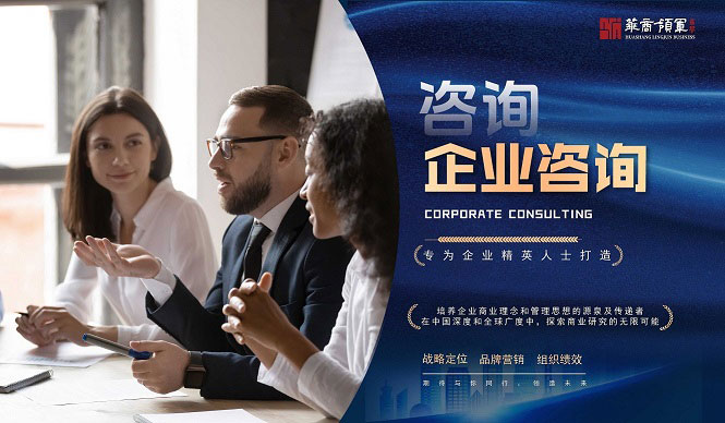 企业咨询服务项目