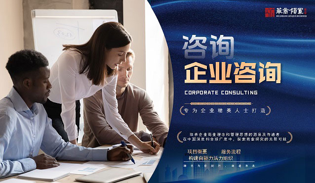 企业咨询项目